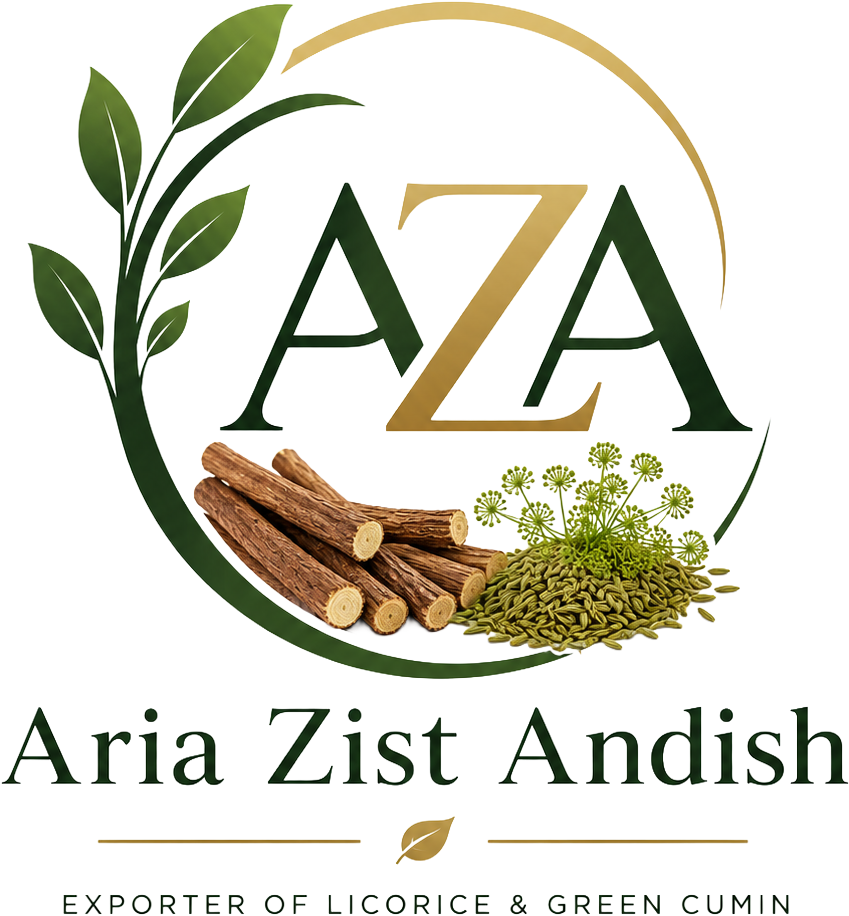 Aria Zist Andish
